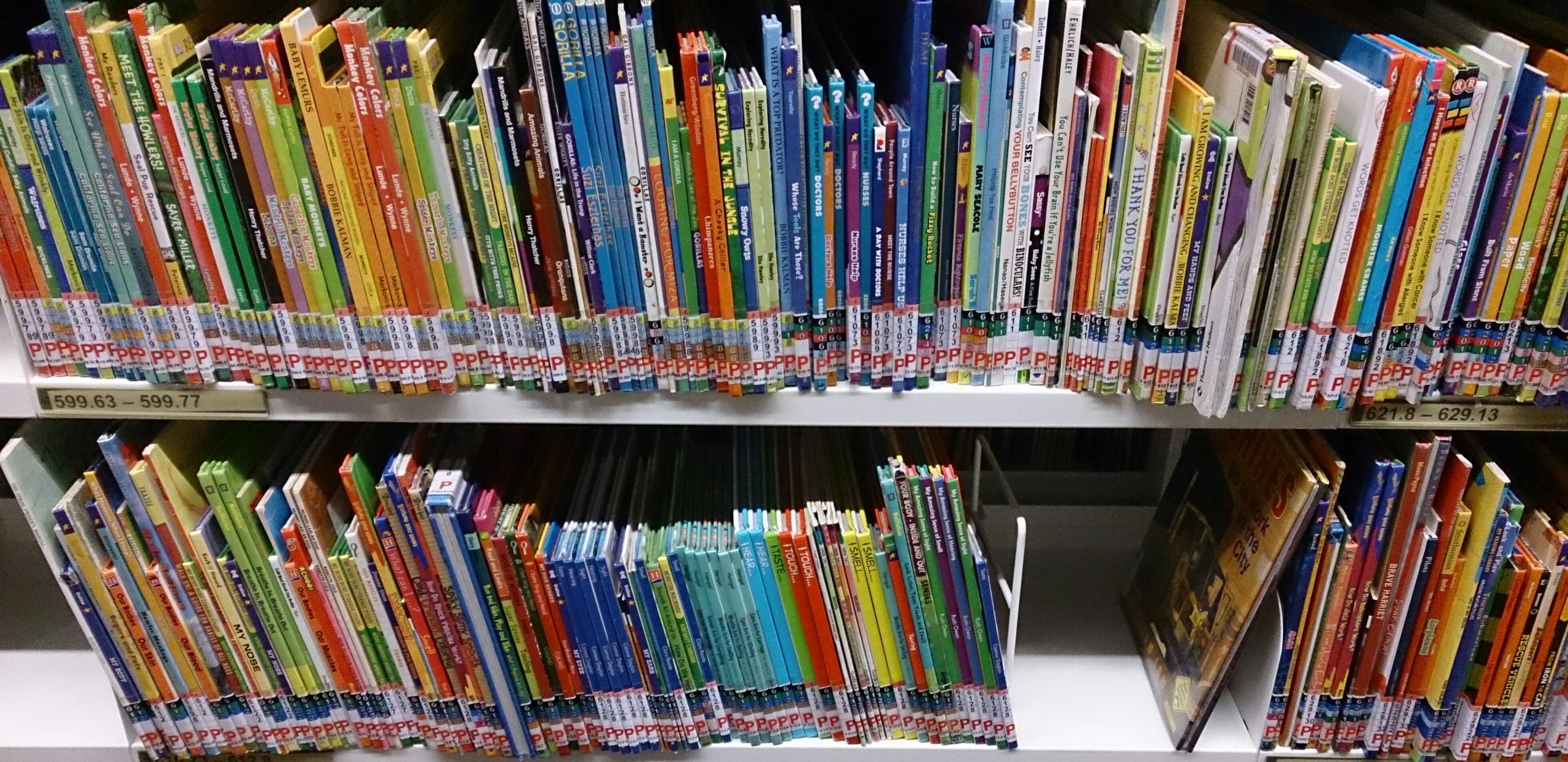 library shelves filled with colorful picture books for children arranged by category for browsing or bundle selection