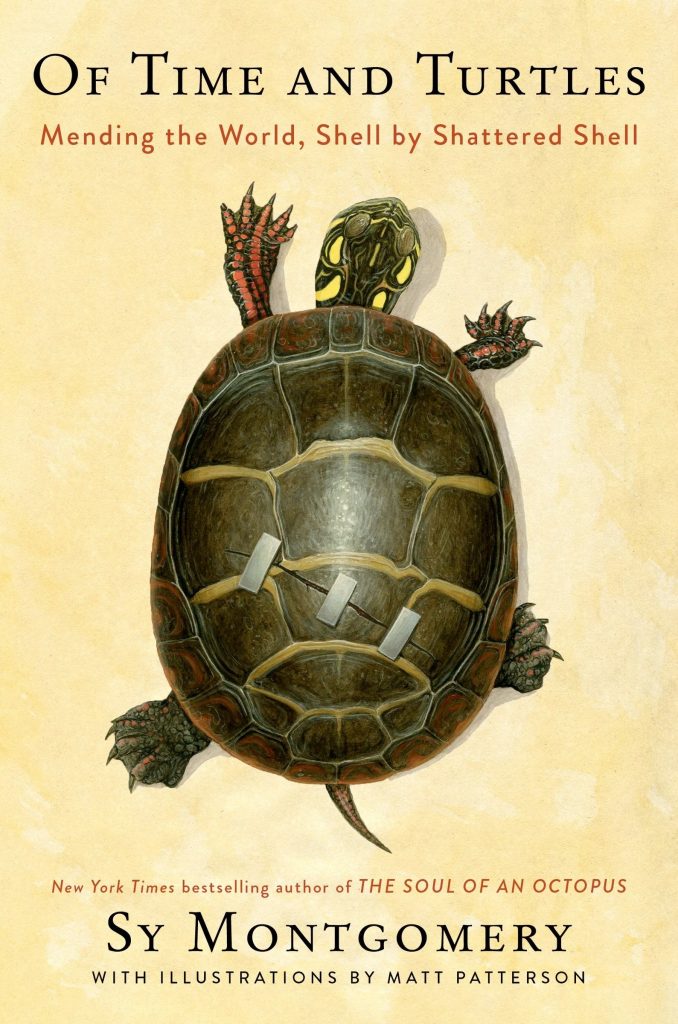 Book cover of 'Of Time and Turtles' by Sy Montgomery featuring a turtle with a repaired shell against a light background