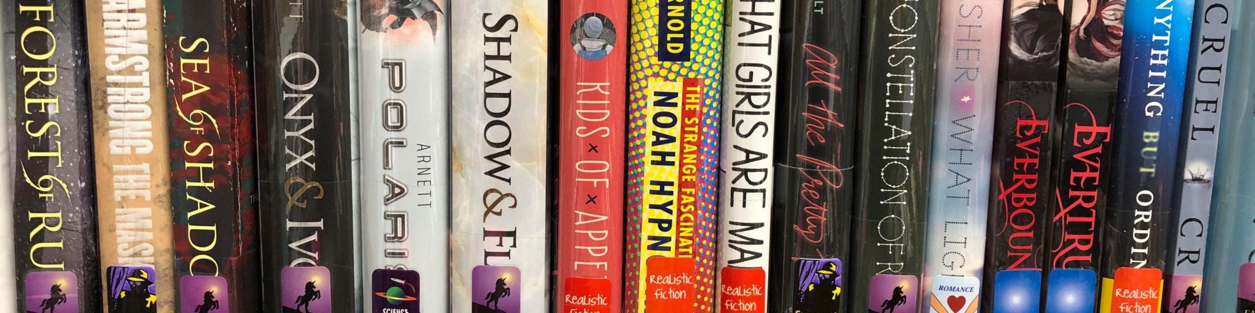Young adult books arranged on a library shelf featuring a variety of fiction titles at Carl Sandburg Library